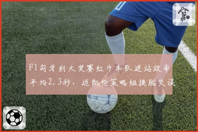F1匈牙利大奖赛红牛车队进站效率平均2.3秒，迈凯伦策略组换胎失误率激增40%